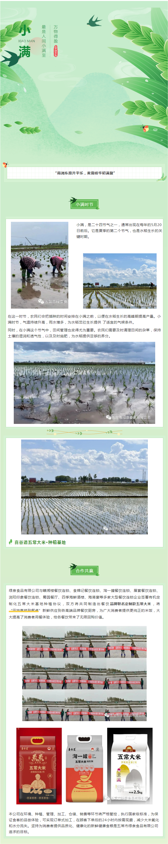 今日小滿，宜萬(wàn)物生長(zhǎng)！五常大米插秧的好時(shí)節(jié).png