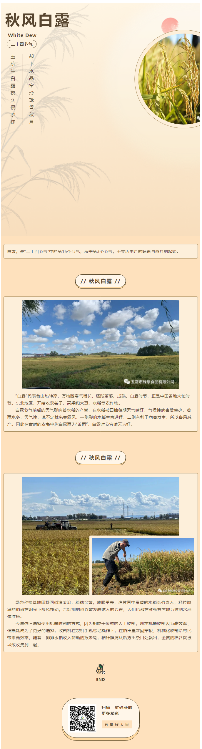 人間忽晚，山河已秋——水稻收割倒計時！.png